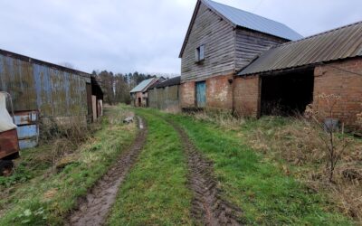 Bat Survey at Monkland, Herefordshire