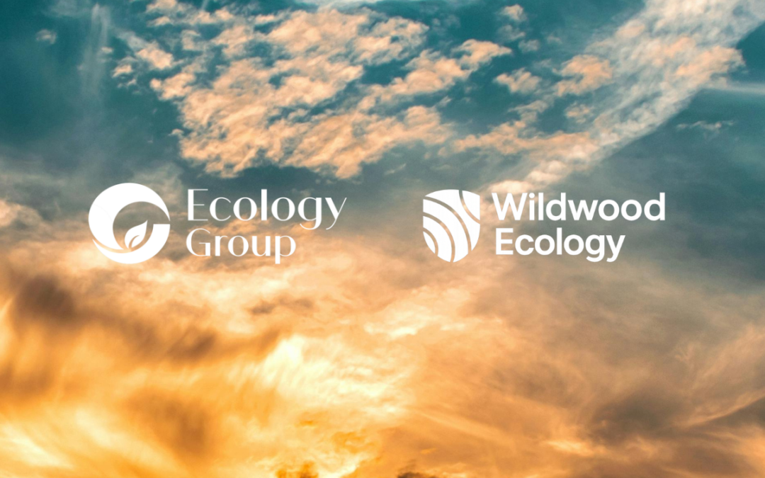 Wildwood Ecology Joins The Ecology Group