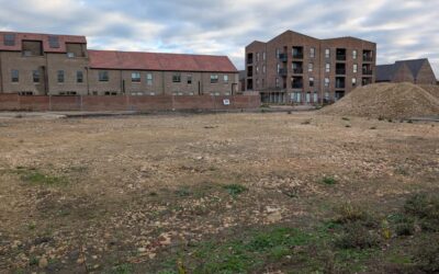 Delivering Biodiversity Net Gain for Affordable Housing in Swindon